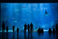aquarium-boulogne-sur-mer